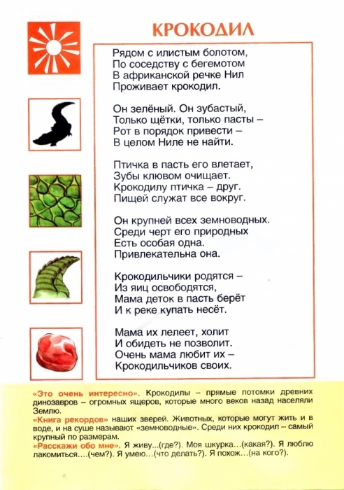 9019cb5b688458a45441faeb1cba3dfe.jpg