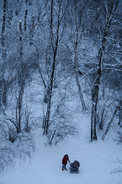 Winter papa