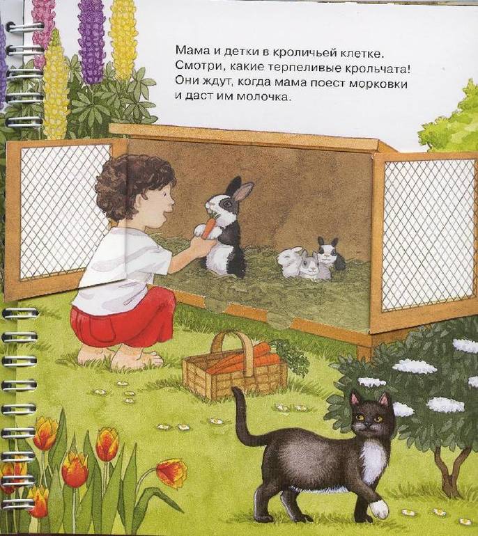 3fa3206b000c2e62e2fe26307391f8d4.jpg