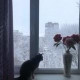 Ююшечка