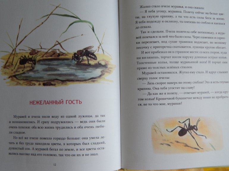 Книги (май).