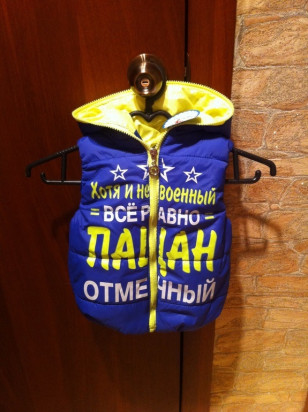 Жилет, новый