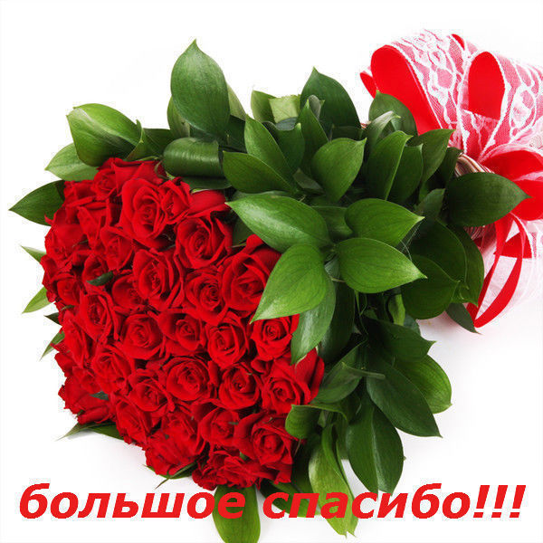 Благодарность!!!!!