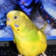 Марина