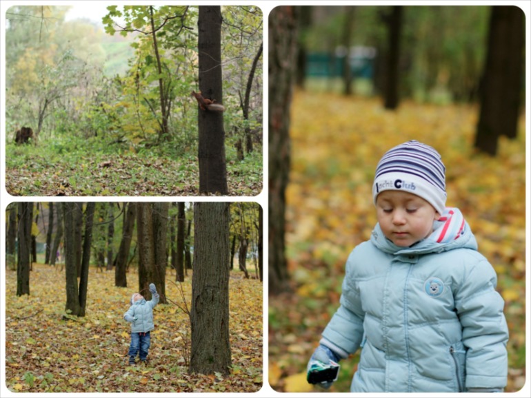Осень 2013