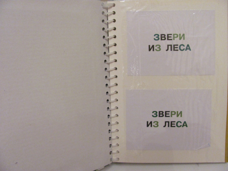 Использование фотоальбомов для развития
