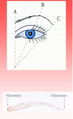 d45ddcac0c869aad9afda51b4fc23428.jpg