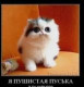 Машуля