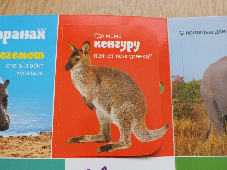 Пополнение библиотеки. Часть 4. Познавательная