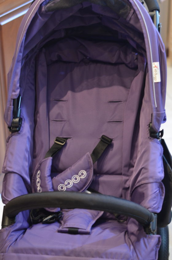 Airbuggy coco brake