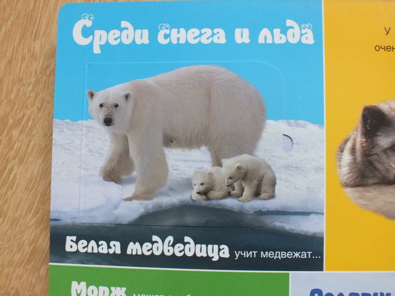 Пополнение библиотеки. Часть 4. Познавательная