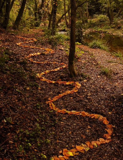 Land Art
