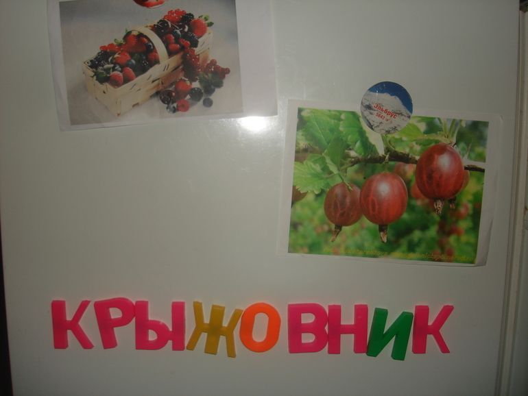 ТН