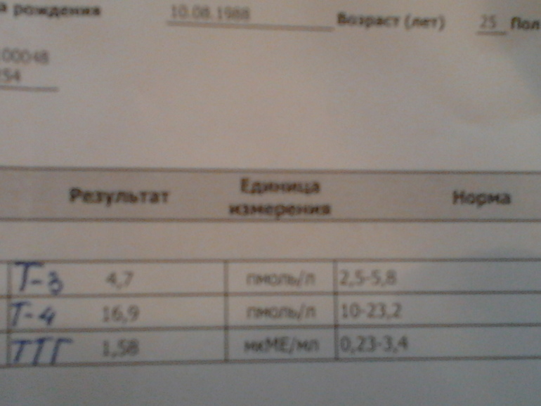 Щитовидная железа