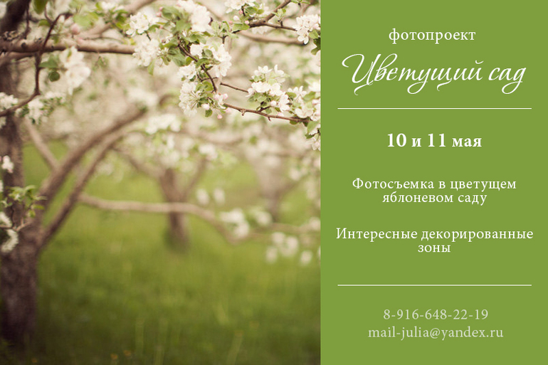 Фотопроект «ЦВЕТУЩИЙ САД»! Ступино!