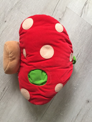 Развивающая игрушка