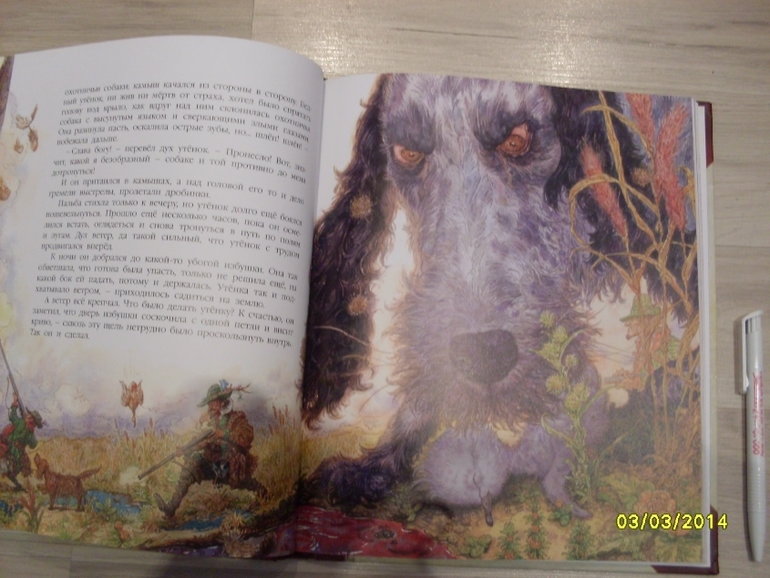 Фото книги и  рыбалки