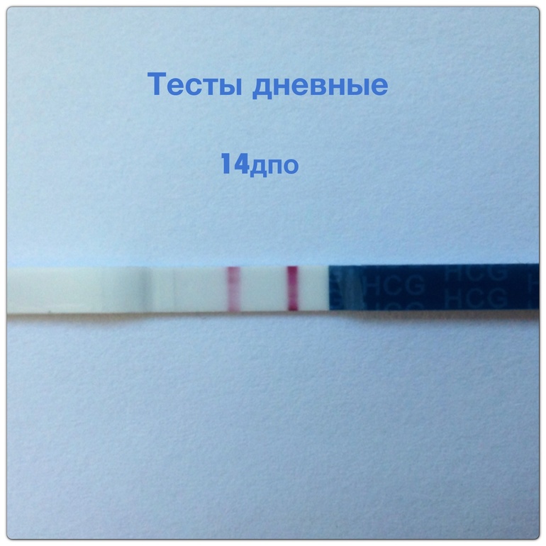 14 дпо дневные!!!!! Тттттттттт для тех кто ждет отчета!!!!!