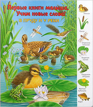 3a6adb7dbdba217db1c1d0d8f162eaa5.jpg