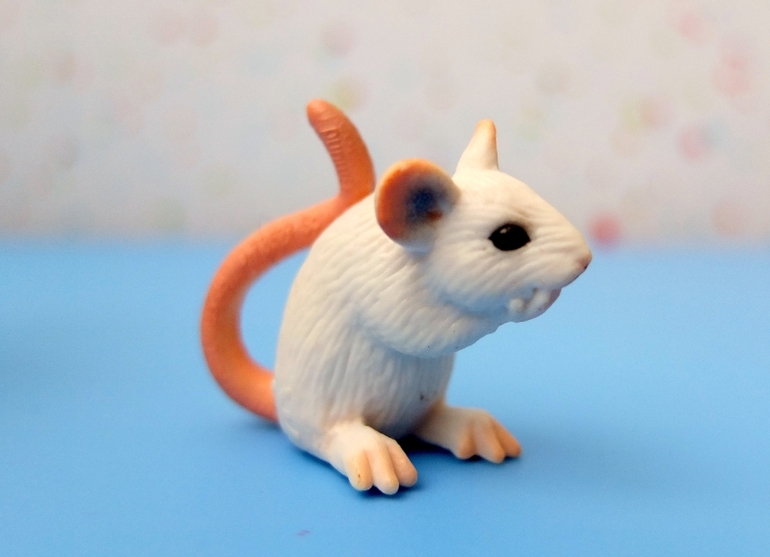 Фигурки животных: Gulliver Collecta, Schleich и Papo - сравнение того, что у нас есть.