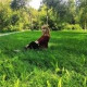 Ксения Гуринова