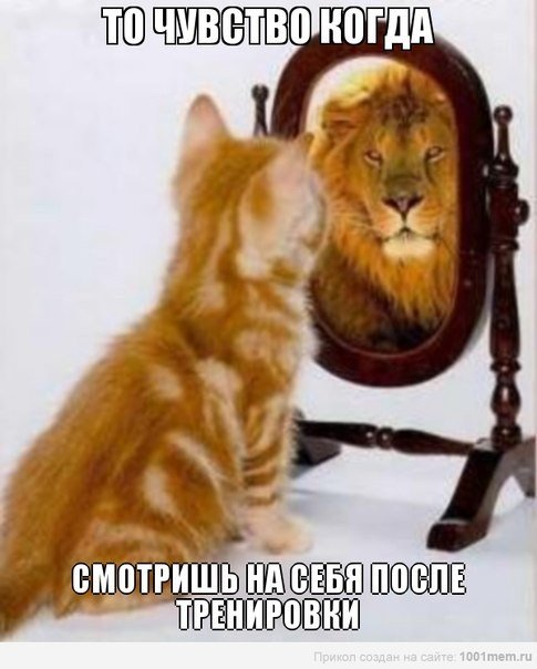 Аххаха)))