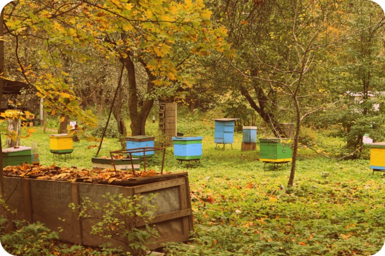 ЭПЦ «Царская пасека»