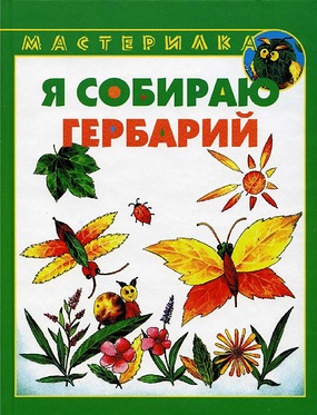 b53ddf2858aa304e388d7e13c18a529d.jpg