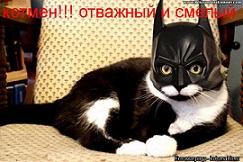 8 ДПП. Никто не знает,а я Бэтмен, Бэтмен))))))