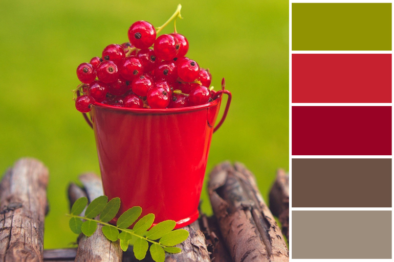 ТЗ
