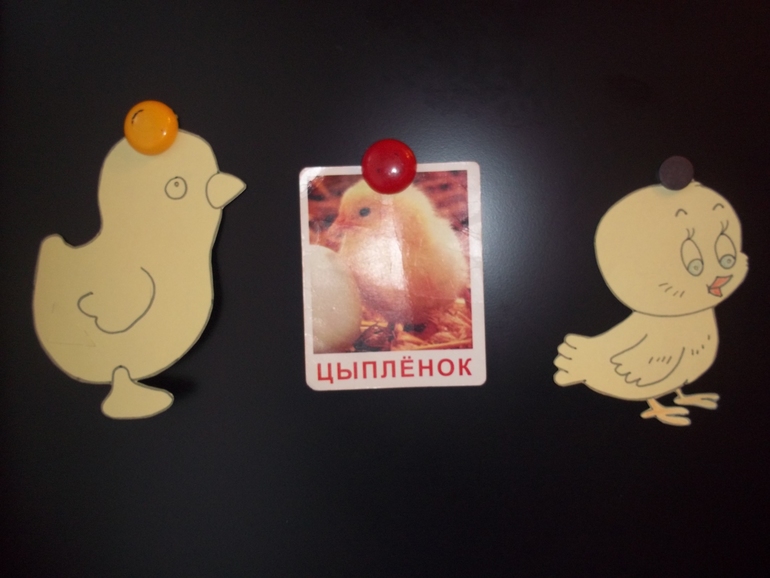 ТН Курица, петух, цыпленок