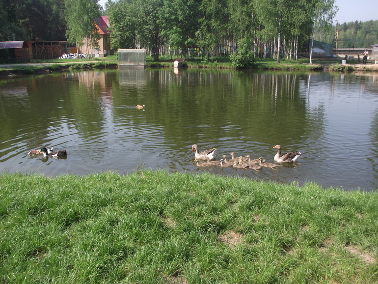 Рыбалка