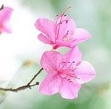 8a9f953299c4cbd35491c8b1c8e2e403.jpg