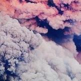 Татьяна Стволовая