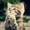 ИМЕНИННИЦЫ ღ ღ ღ 19 марта ღ ღ ღ !!!