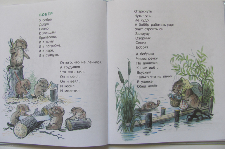 b1277714cafaa51f03d5b369d93daf34.jpg