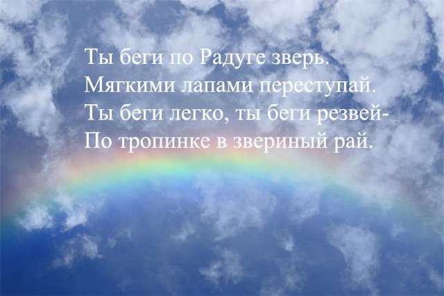 Он просто ушел на радугу
