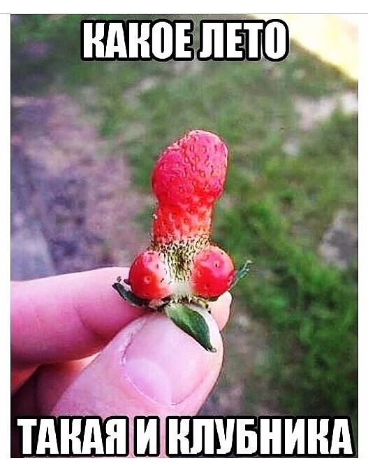 Растения тоже в шоке)))