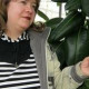 Елена Манаенкова