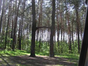Курортный р-н СПб, г. Зеленогорск, ул. Героев, 20. Площадь участка (сот): 11.3 Стоимость: 4400 тыс.руб