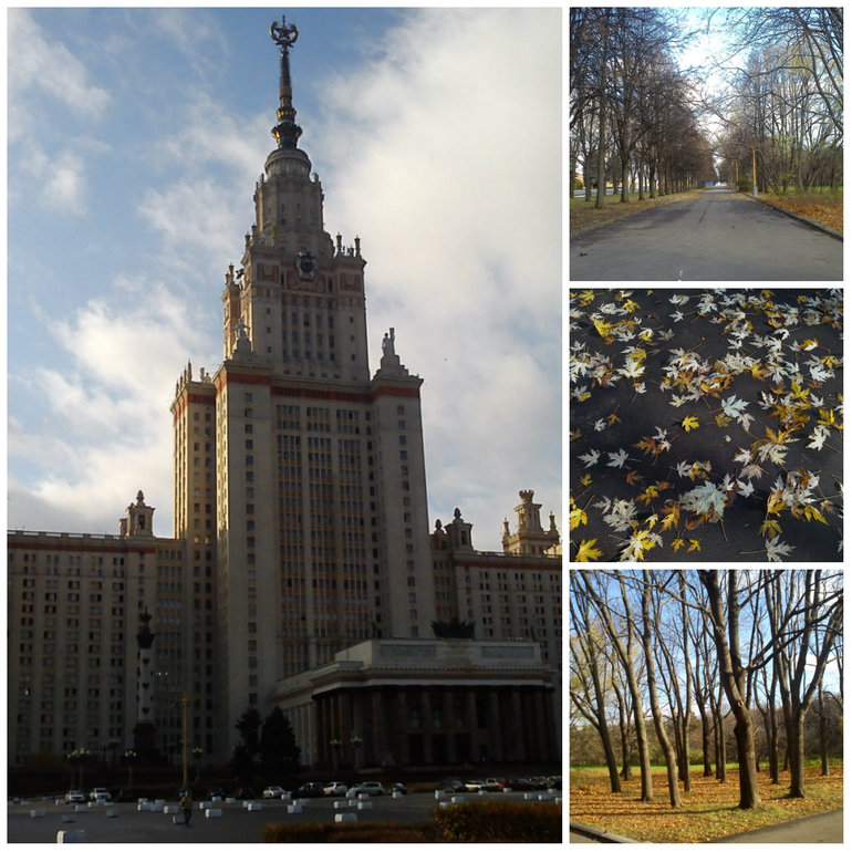 шопинговое