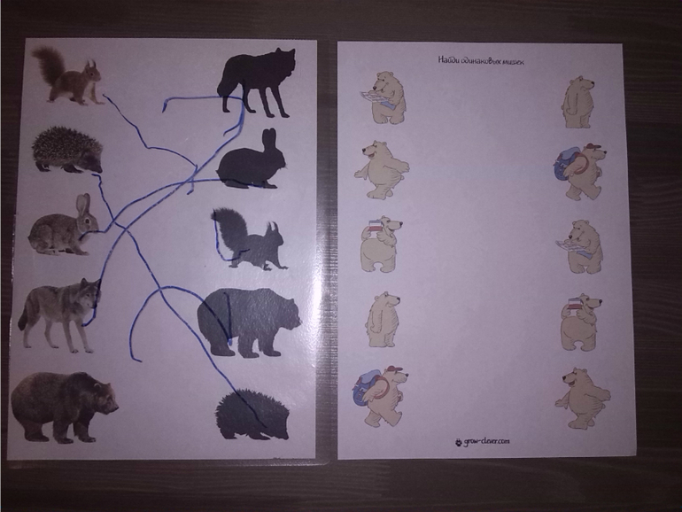 Лесные животные. Медведь.