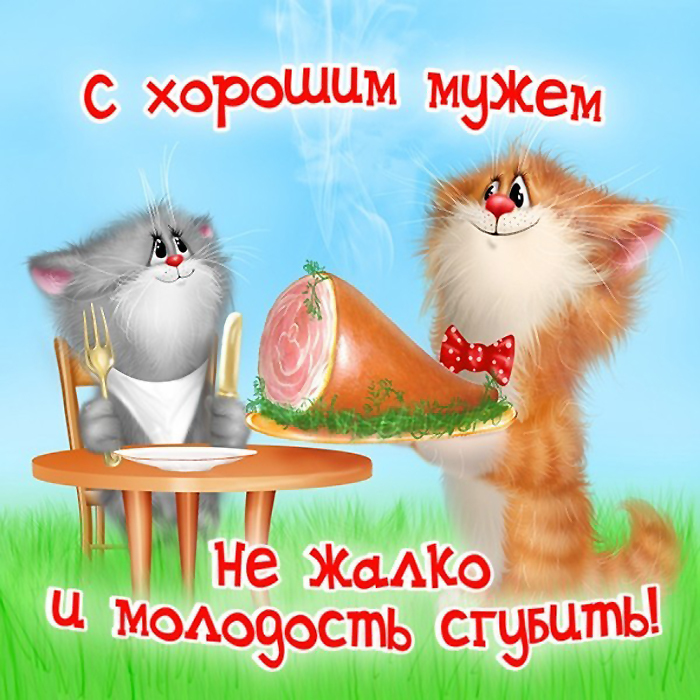 Кошачье