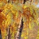 Юлия