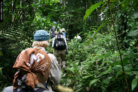 80804423ad1eeda84add63a3472035a7.jpg