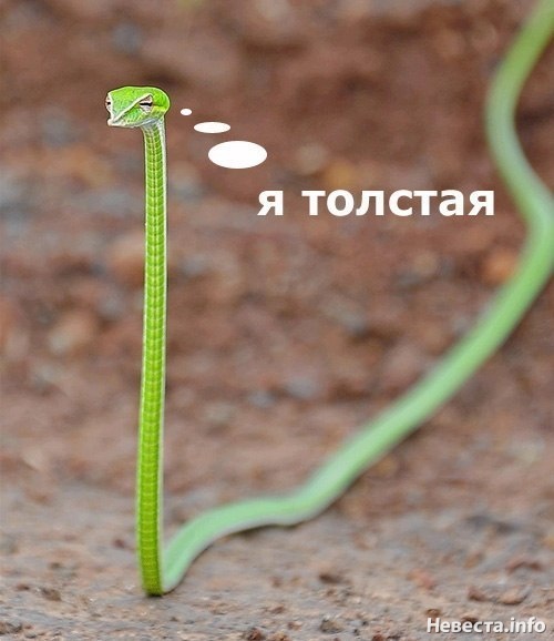 Про меня..