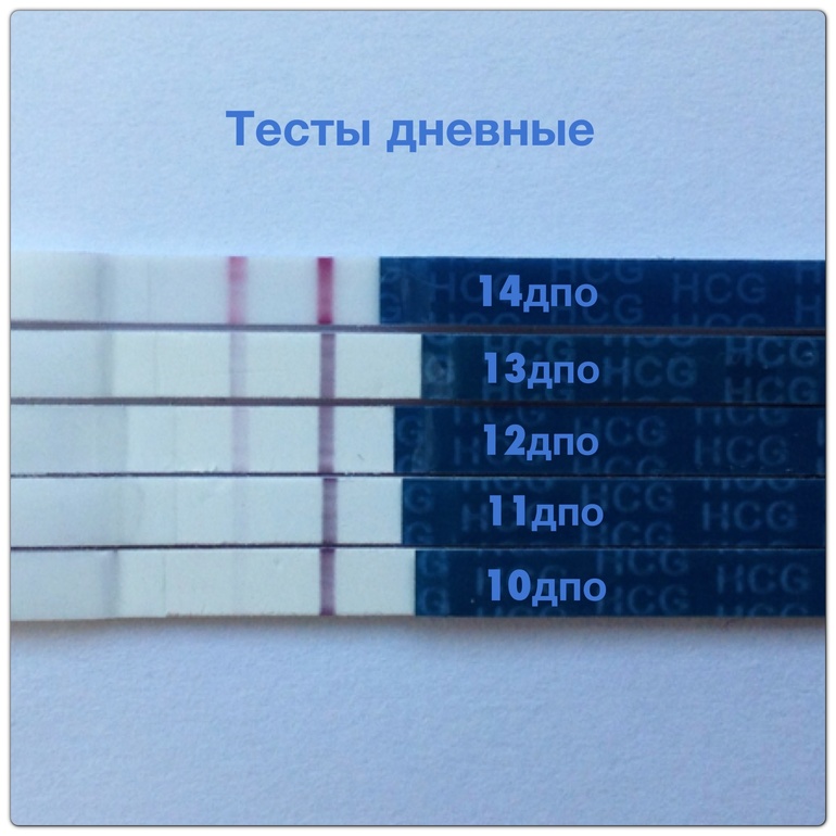 14 дпо дневные!!!!! Тттттттттт для тех кто ждет отчета!!!!!