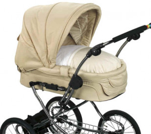 Teutonia Elegance 2в1