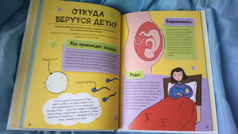 Половое воспитание мальчиков. — 48 ответов | форум Babyblog