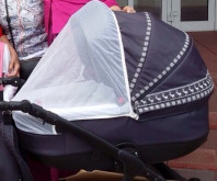 Коляска Noordi Arctic sport 3 в 1